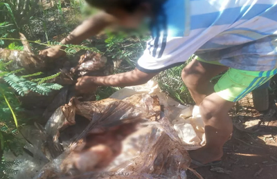 Crianças, idosos e adultos desenterraram frangos descartados para levar para casa, em Porto Iguaçu