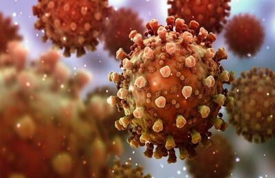 Possíveis casos de reinfecção por coronavírus têm deixado cientistas em alerta 