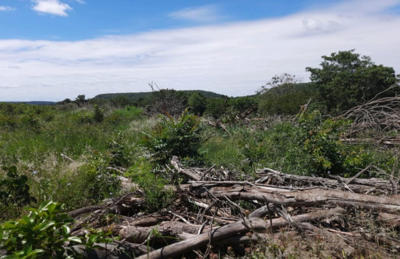 PMA de Costa Rica usa drone, GPS e imagens de satélites e autua infrator em R$ 16 mil por desmatamento ilegal de vegetação nativa para plantio de lavoura