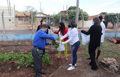 Famílias atendidas pelo CRAS recebem hortaliças