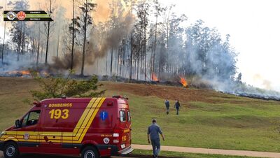 Incêndio em mata de Piracicaba após queda de avião no bairro Santa Rosa.