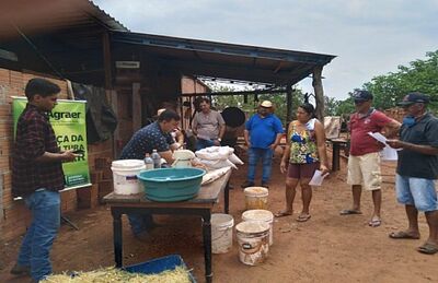 Utilização da cultura de mandioca é destaque no Dia de Campo em Coxim