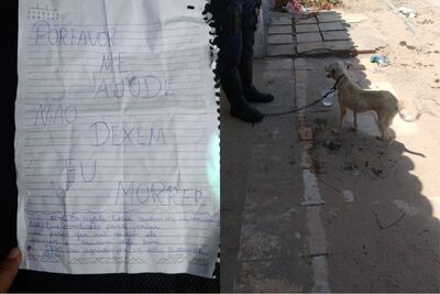 Cadela abandonada foi encontrada com bilhete pedindo socorro, no Ceará.