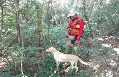 Bombeiro e cão durante buscas pela idosa em São Gabriel do Oeste
