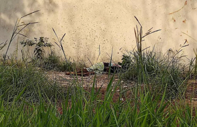 Terreno no Bairro Parque das Nações 1 onde um homem foi encontrado morto com tiro na cabeça.