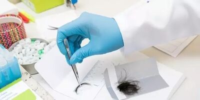 Exame toxicológico realizado em laboratório particular é dever do motorista que renovar CNH profissional. 