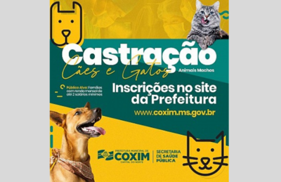 refeitura de Coxim lança programa de castração de cães e gatos.