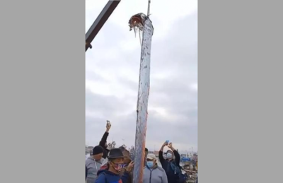 Peixe-remo é levantado por um guindaste na cidade de Arica, no Chile 