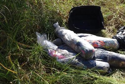 Partes do corpo da vítima foram encontradas às margens de rodovia.