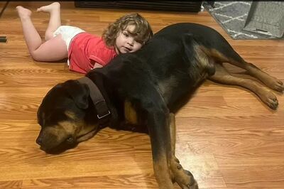 Thea Chase, de 2 anos, deitada sobre um dos cachorros de sua família, que a acompanhou quando ela saiu de casa e foi encontrada em floresta em Michigan.