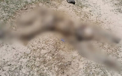 Cadáver foi encontrado na região de Paiaguás. 