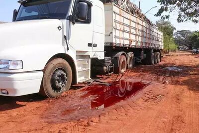 Caminhão foi apreendido com drogas e ficou atolado em frente à Denar. 