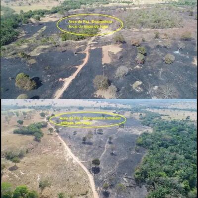Laudo da PMA traz imagens das fazendas atingidas pelo fogo. Foto: Reprodução