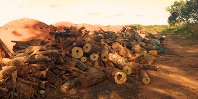 Área de carvoaria na zona rural de Coxim. Foto: Divulgação/MPT