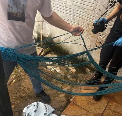 Rede artesanal, onde criança ficou com pescoço enroscado. Foto: Reprodução