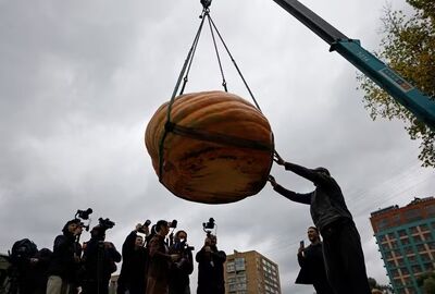 Guindaste levanta abóbora durante a competição russa de vegetais gigantes na Rússia. Foto: REUTERS/Yulia Morozova