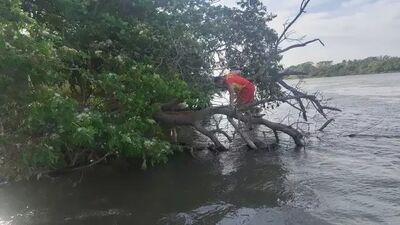 Bombeiro fazendo resgate de corpo em rio. Foto: Sidney Assis, de Coxim