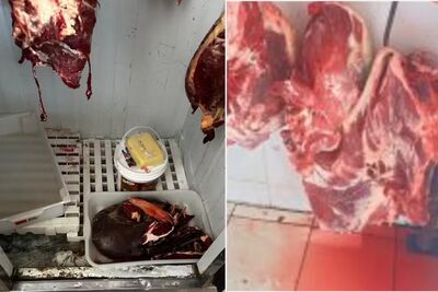 Mais de uma tonelada de carne foi apreendida. Foto: Polícia Civil