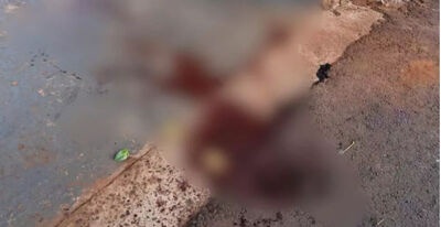 Rastro de sangue encontrado no local. Ilustrativa (Foto: Eliel Dias, Jornal Midiamax)