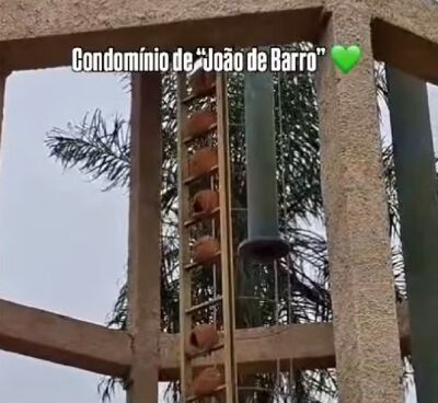 Condomínio João de Barro. Foto: Eduardo Rodrigues Peixoto