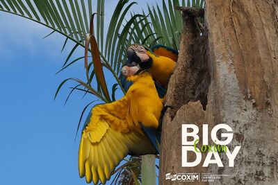 Coxim celebra o sucesso do Big Day com entusiasmo e riqueza de registros. Foto: Divulgação AssCom PMC 