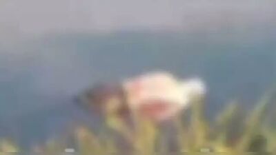 Corpo de José foi encontrado boiando no lago. Foto: Portal Água Clara