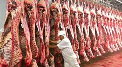 Frigorífico localizado em MS (Foto: Divulgação, Semadesc)