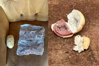 Jovem morre após comer pão com mortadela envenenado. Foto: Polícia Civil