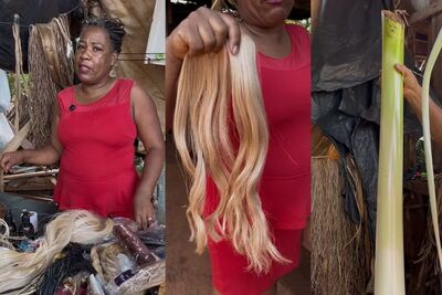 Empresária de MS transformou fibra de bananeira em cabelo biodegradável. Foto: Reprodução