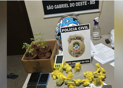 Drogas apreendidas na residência (Foto: Divulgação, Polícia Civil)
