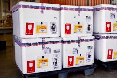 MS recebe 10 mil doses de vacina contra vírus respiratório. Foto: Ministério da Saúde/Divulgação