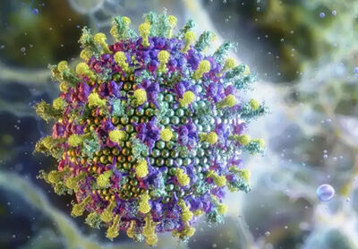 Nipah causou novo surto na Índia. (Foto: Ruslanas Baranauskas, Divulgação)