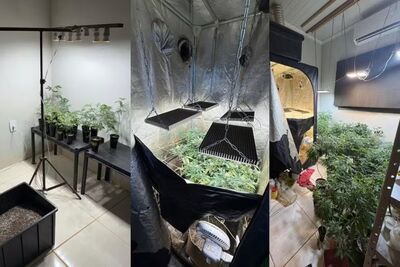 Laboratório usado para o cultivo ilegal de maconha foi localizado pela polícia. Foto: Polícia Civil/MS