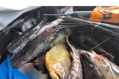 Polícia Ambiental é recebida a tiros durante fiscalização em Rio Verde. Foto: Divulgação/PCMS