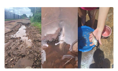 Moradora encontrou peixes em um buraco na Rua Augusta Rossini Guidi, no bairro Jardim Los Angeles (Foto: Fala Povo)