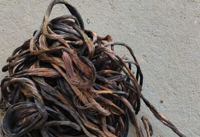 Foto: Assessoria de Comunicação Social do 5&ordm; BPM