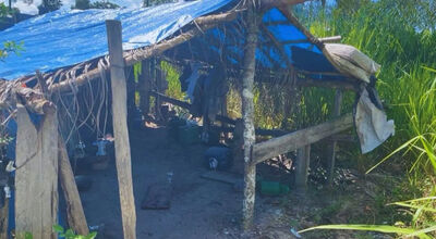 Ação de combate ao trabalho escravo - Foto: Divulgação/ MPT-MS