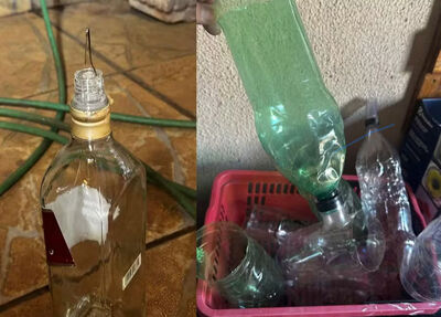 Bebidas baratas eram adulteradas e transferidas para uma garrafa de marca mais cara  Foto: DECON/Divulgação