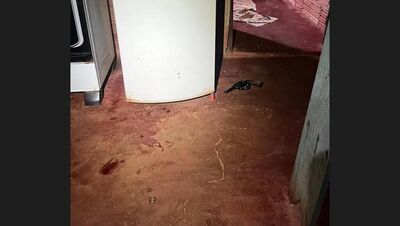 Local onde homem foragido acabou morto. Foto: Direto das Ruas/CGNEWS