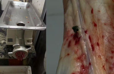 Açougue é interditado após apreensão de 475 kg de carnes em MS  Foto: Divulgação