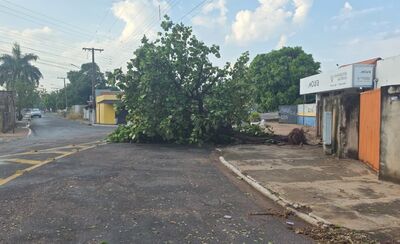 Foto: Divulgação AssCom PMC 
