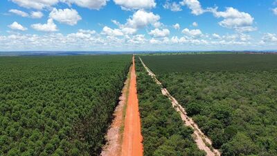 Foto: Divulgação assessoria 