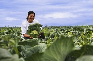 Cerca de R$ 184 milhões (95,16% do total) foram destinados à Compra com Doação Simultânea