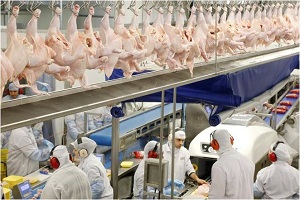 Até no caso do frango o consumo doméstico caiu, mas as exportações em alta evitaram um tombo maior.