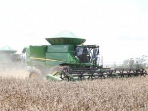 Colheita da soja começou na semana passada em MS