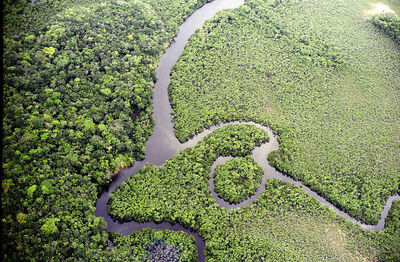 Floresta Amazônica