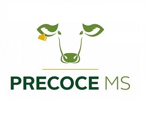 Subprograma que promove o desenvolvimento da pecuária sul-mato-grossense habilita sexta turma de responsáveis técnicos: Inscrições continuam abertas