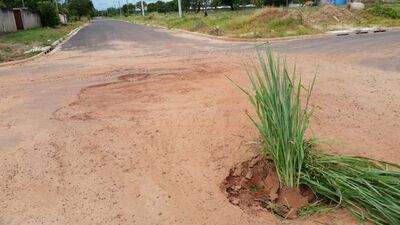 Moradores usam galhos para sinalizar os vários buracos nas ruas