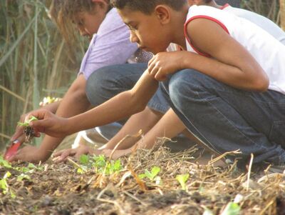 Nas escolas: o Núcleo de Agroecologia e Educação do Campo GWATÁ leva o conhecimento sobre o tema a crianças goianas
