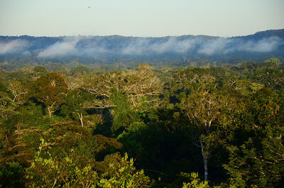 Reserva Biológica do Jaru (RO)